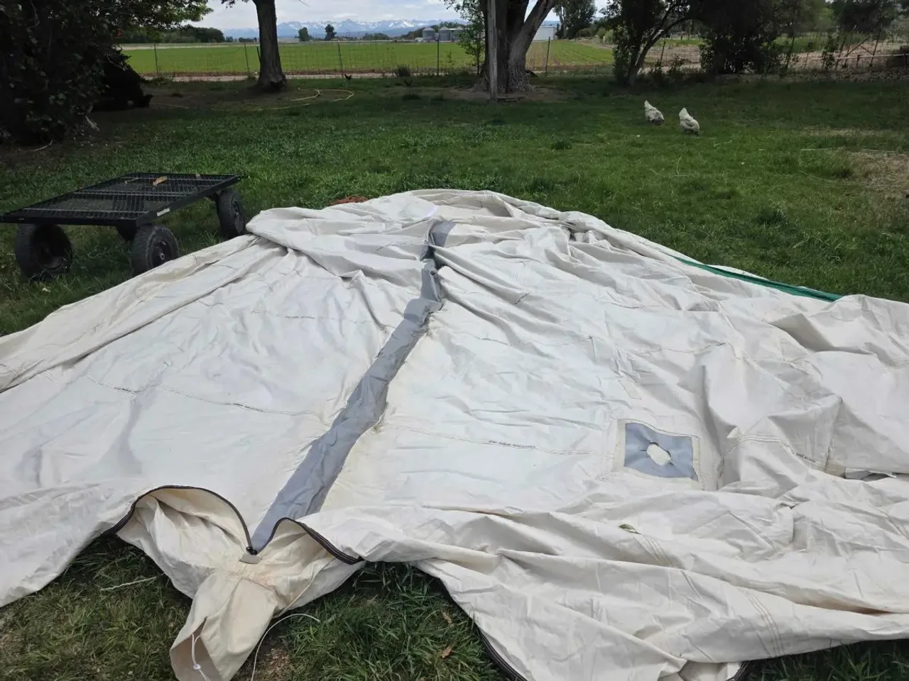 Before the repair: canvas wall tent with a new window flap, stove pipe outlet, and ridge pole sleeves